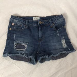 Hudson Jean Shorts